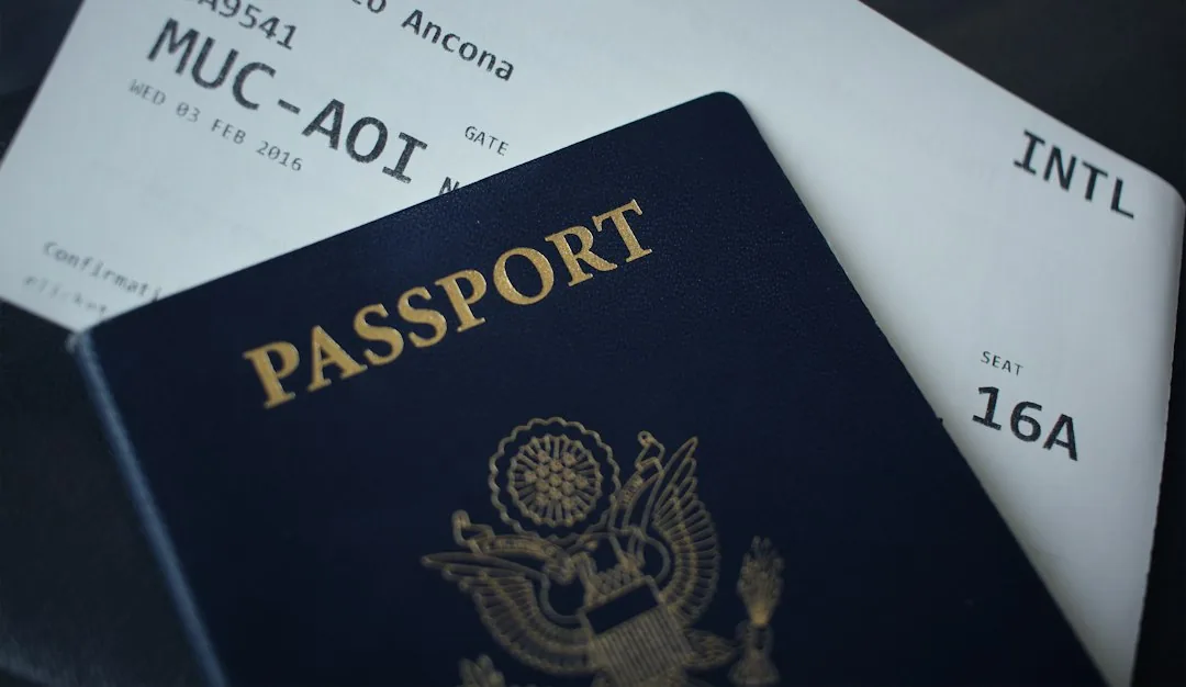 Education and Immigration Experience